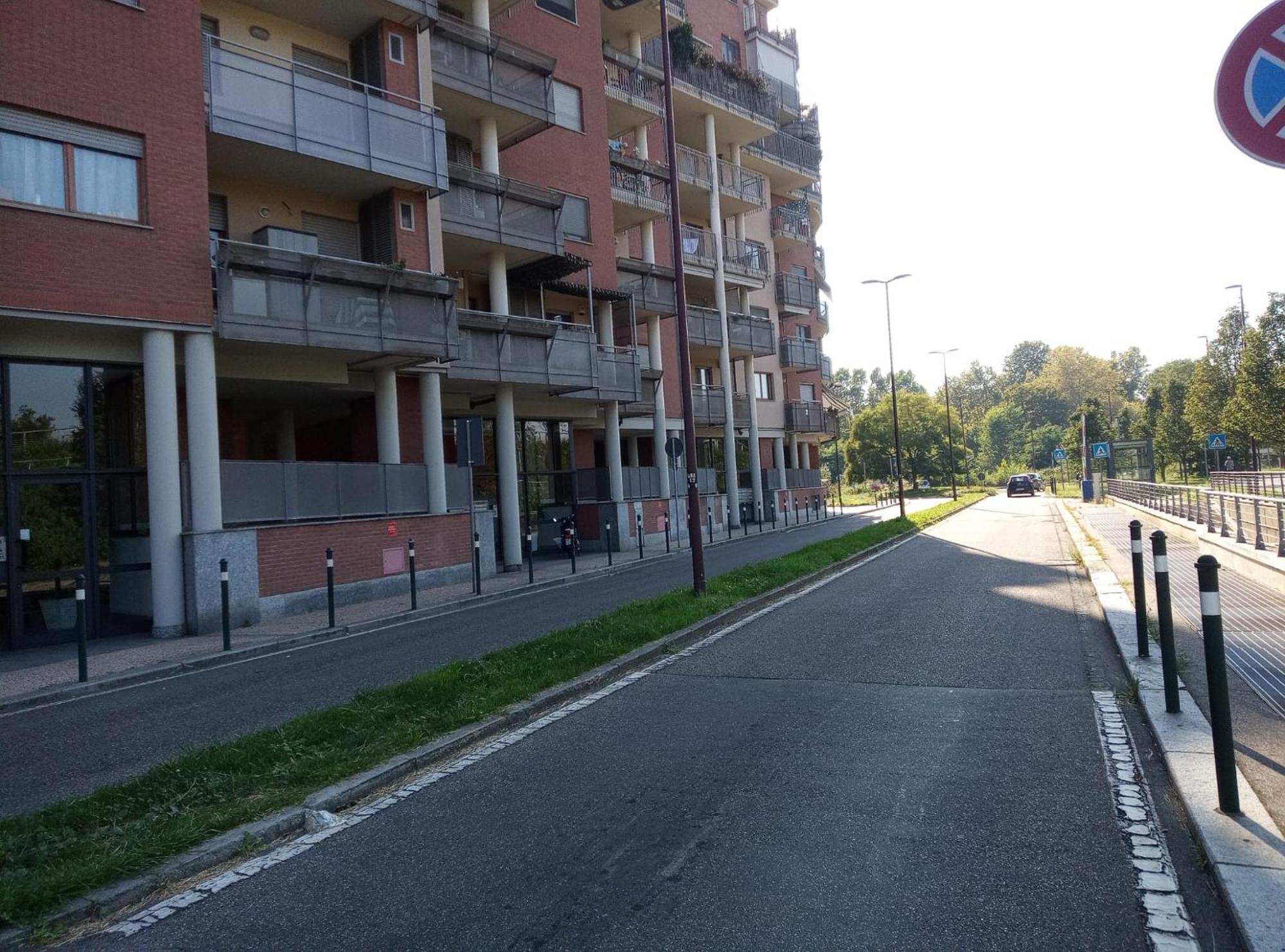 Parco Dora View * Turin
